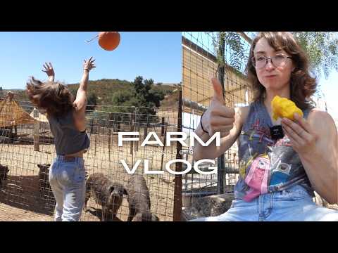 WE GOT SOMETHING NEW | farm vlog