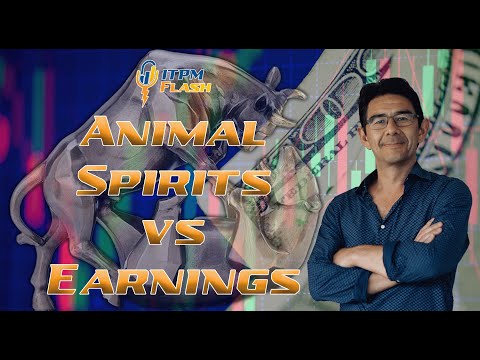 ITPM Flash Ep27 Animal Spirits vs Earnings