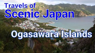 357 Ogasawara Islands in Tokyo Prefecture / Travels of Scenic Japan / Tabiator