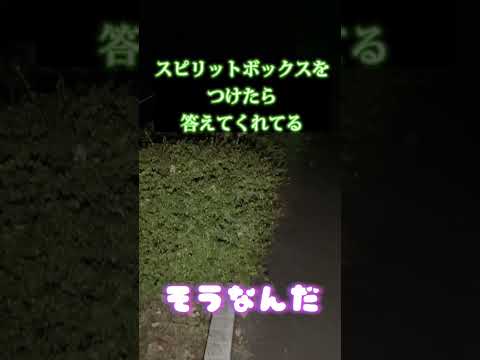 【心霊スポット】富山県・霊の声を捉える場所・心霊 #心霊動画 #女性心霊youtuber #心霊 #心霊youtuber