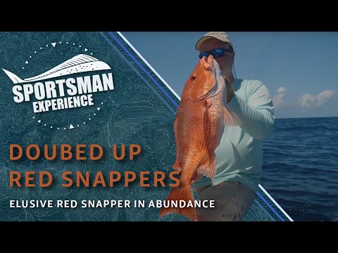 The Sportsman Experience Shorts - Doubled Up On Huge Red Snappers