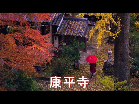 【康平寺】4K EOS R7