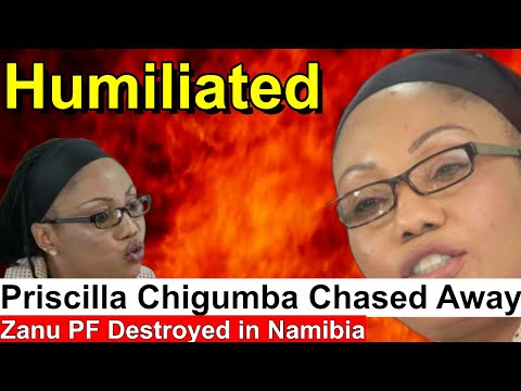 WATCH  LIVE; DISASTER - Chigumba Attacked in Namibia, SADC release Report Before Election