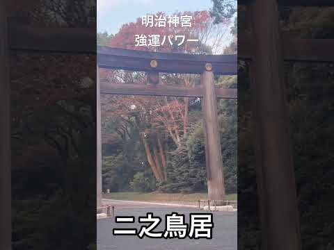 【明治神宮】恋愛成就•夫婦円満。強運パワー。一度は来るべき。#shorts