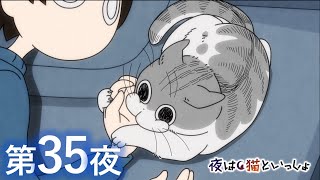 アニメ『夜は猫といっしょ』第35夜「寝てるネコにちょっかいを出したくなる」