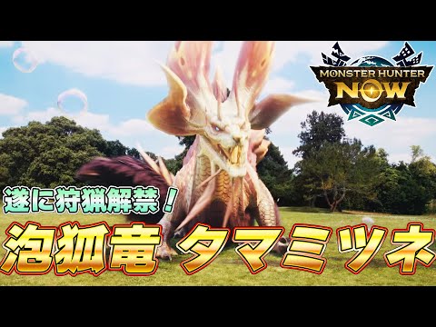 モンハンNow大型夏アプデ！泡狐竜 タマミツネ 新装備がマジで強いぞ！！『モンスターハンターNow』