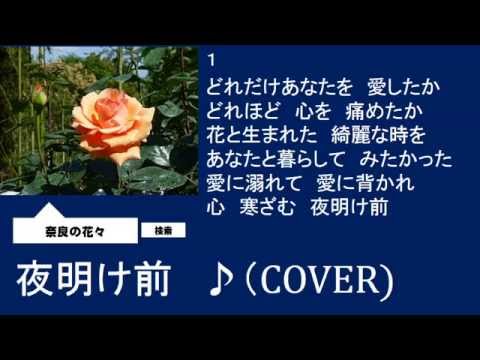 夜明け前　　しいの乙吉　♪（COVER）