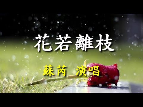 花若離枝                                                                  蘇芮   演唱