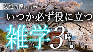 【睡眠導入】いつか必ず役に立つ雑学３時間【女性朗読】