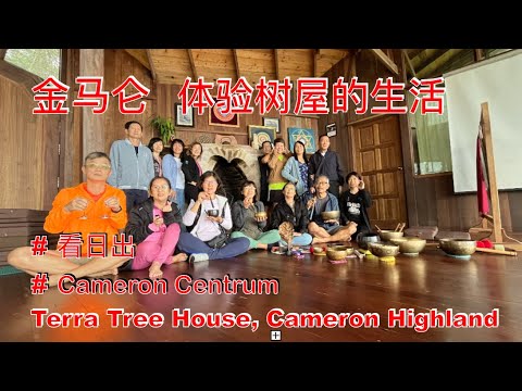 K201集 金马仑与树屋生活完结篇 Good bye Terra Tree House mp4