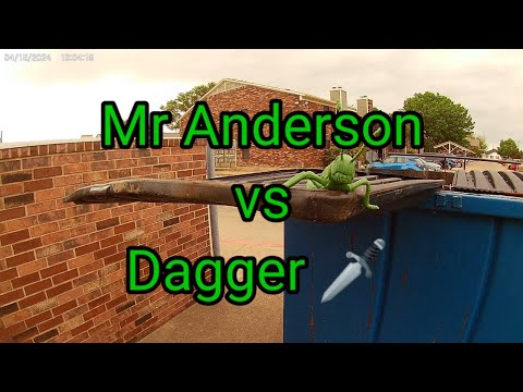 (1423) Mr Anderson Vs Dagger 🗡