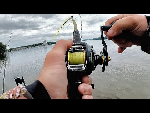 I Won MONEY CATFISHING!! (Twisted Cats Mississippi River)