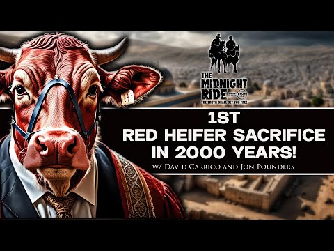 Why Do So Many People Fear the Red Heifer Sacrifice in Israel?