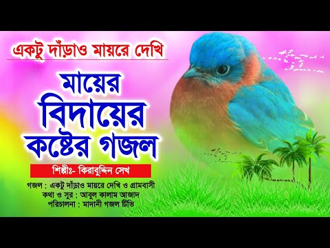 মায়ের বিদায়ের সবচেয়ে দুঃখের গজল | একটু দাঁড়াও মায়রে দেখি | মায়ের গজল | Ektu Darao Mayre Dekhi