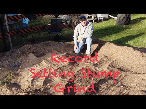 I Gave Away A Free Tree Stump Grinding - What Could Go Wrong?!