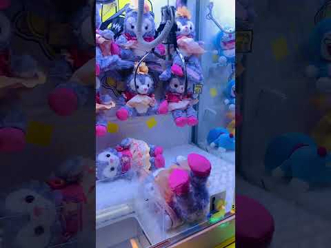 Challenge Day 33 : Catch a doll 1 time/day  #shorts #subscribe #share #viral #thailand #bear #teddy