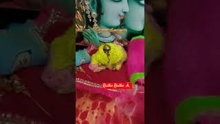 Jai Laddu gopal ji bhakti #viral #laddugopal #bhaktishorts #trending #liveshort #youtubeshorts