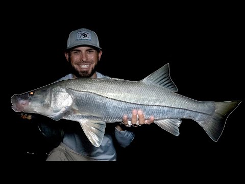 Catching MONSTER Snook - What Tackle To Use