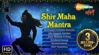 टॉप १० शिव महामंत्र | शिव शंकर | भगवान शिव के सबसे शक्तिशाली मंत्र