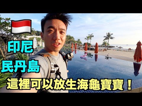 【Eng Sub】Indonesia：Bintan Travel Vlog：Releasing Baby Turtles Experience | Stormscape