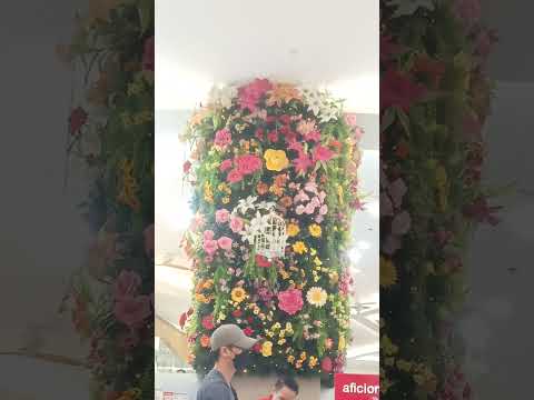 #colorful flower arrangement  display#beautiful#SM Baguio City#short#zoiedgreat