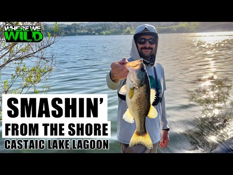 SMASHIN' from the SHORE - Castaic Lake Lagoon Fishing