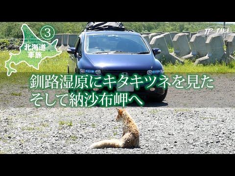 北海道車中泊旅3 釧路湿原にキタキツネを見た-そして最東端を目指し納沙布岬へ -RB1オデッセイの車中泊