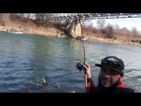 Bobber Down!!! (Night crawlers) (spillway) #fishing #subscribe #trending #viral