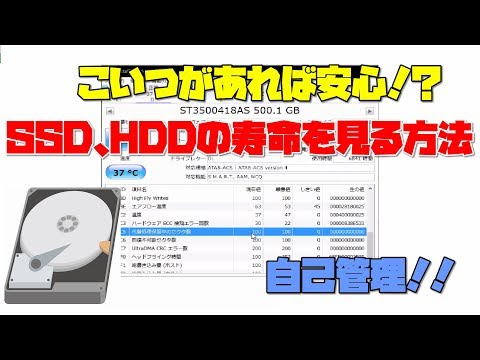 【重要】 あなたのHDD、SSD寿命かもしれませんよ笑 簡単な見方 解説 【アレッサ】