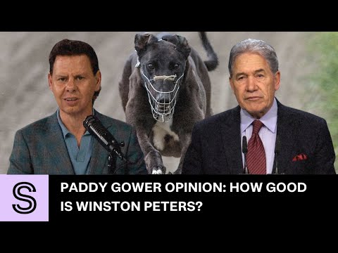 Paddy Gower Opinion: How good is Winston Peters? | Stuff.co.nz