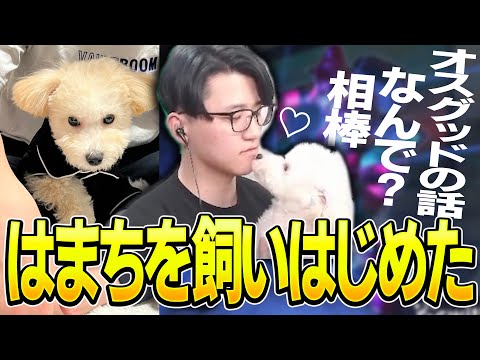 【Apex】Ramuさんギアさんに色々っこまれる件。【エーペックスレジェンズ】