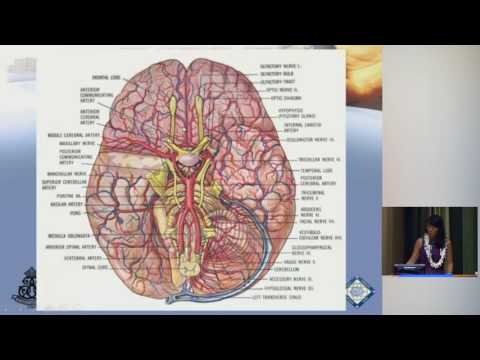 Clinical Vignettes