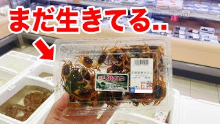 スーパーで生きてるサワガニが売られていたので...お持ち帰りした結果...。