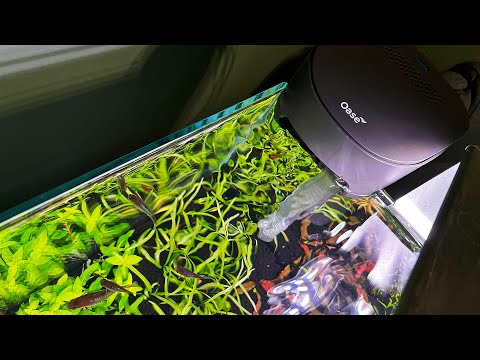 BEST CHEAP AQUARIUM FILTER WITH INLINE CO2 AND HEATING