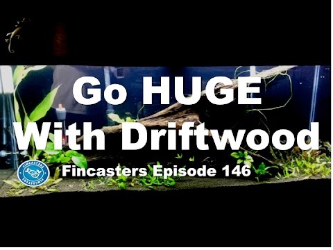 Go HUGE with Driftwood Fincasters Episode 146