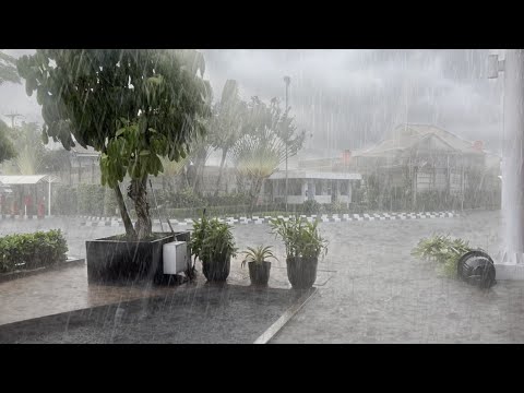 Super heavy rain and strong winds in Indonesian villages | fell asleep to the sound of the rain