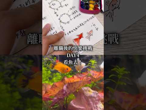 離職後的快樂挑戰｜Day4 到水族館看魚去！