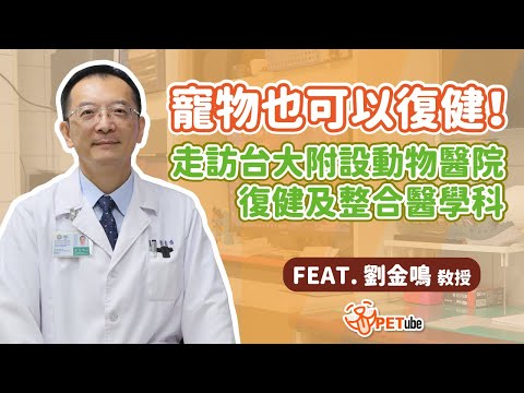 寵物也可以復健！走訪台大附設動物醫院復健及整合醫學科【編走編看】 FEAT. 劉金鳴教授｜ #哈寵PETube 第225集