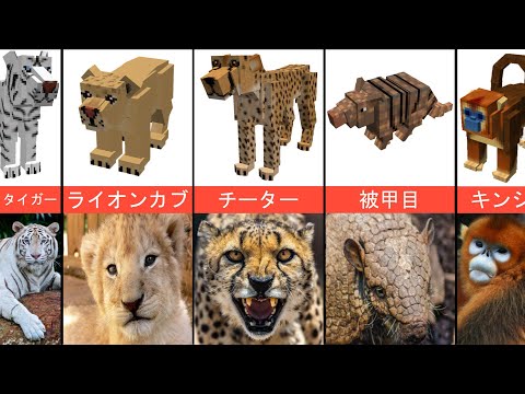 比較：Minecraftの実際の動物