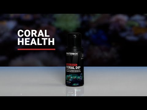 Coral Health Supplements For Saltwater Aquariums