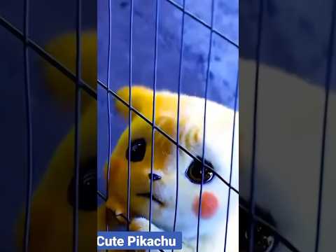 #pikachoo 🥰🥰🤣🤣