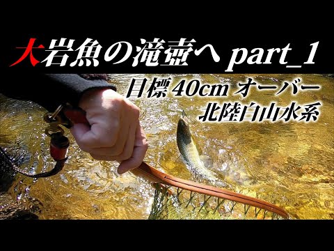 【大岩魚の滝壺へpart_1】目標40cmオーバー！北陸白山水系源流釣り！