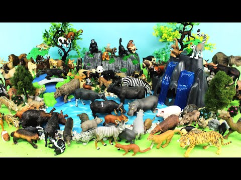 Fun Waterfall Sets with Zoo Wild Animal Figurines -  Learn Animal Names