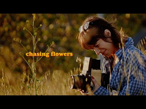 Chasing flowers with my RB67