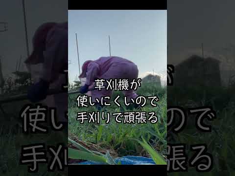 田舎暮らしの夏は地獄でしかない！#田舎暮らし