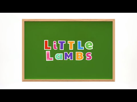 Little Lambs | December 28, 2024