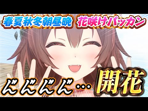 【#ホロ7DTD】ギア全開で飛ばし続けるころさんが面白すぎるｗ【ホロライブ切り抜き/戌神ころね/大空スバル/大神ミオ/猫又おかゆ/白上フブキ/さくらみこ/星街すいせい/常闇トワ/角巻わため】