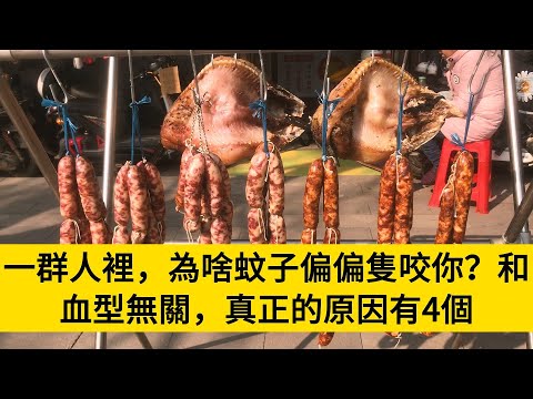 一群人裡，為啥蚊子偏偏隻咬你？和血型無關，真正的原因有4個#養老#晚年幸福#中老年心語#情感故事