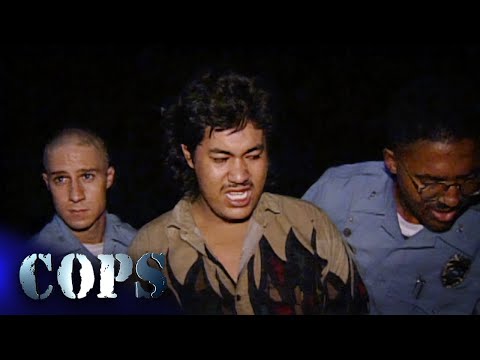 Police Respond to Theft, Drunk Driving, and Domestic Disputes | Cops TV Show