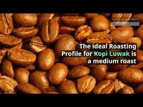 Kopi Luwak FAQ